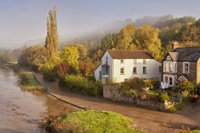 唐纳德·高尔的精彩进攻演绎，点亮袋鼠队全场表现，唐纳德高德纳