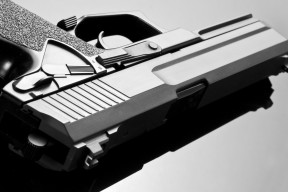 公牛新晋球员适应良好有望进入核心阵容，公牛近况