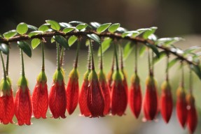 篮球专项体能训练技术创新与应用案例分享，篮球体能训练文献综述