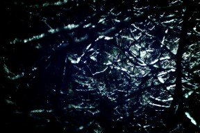 五大联赛是否正进入压缩空间博弈时代，五大联赛会不会再次停摆