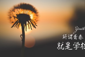 NBA球队战术调整案例研究，nba球队战术体系