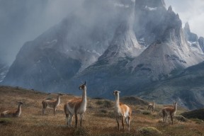 欧冠八强巡礼：最悬念的对决提前揭秘，欧冠八强战绩