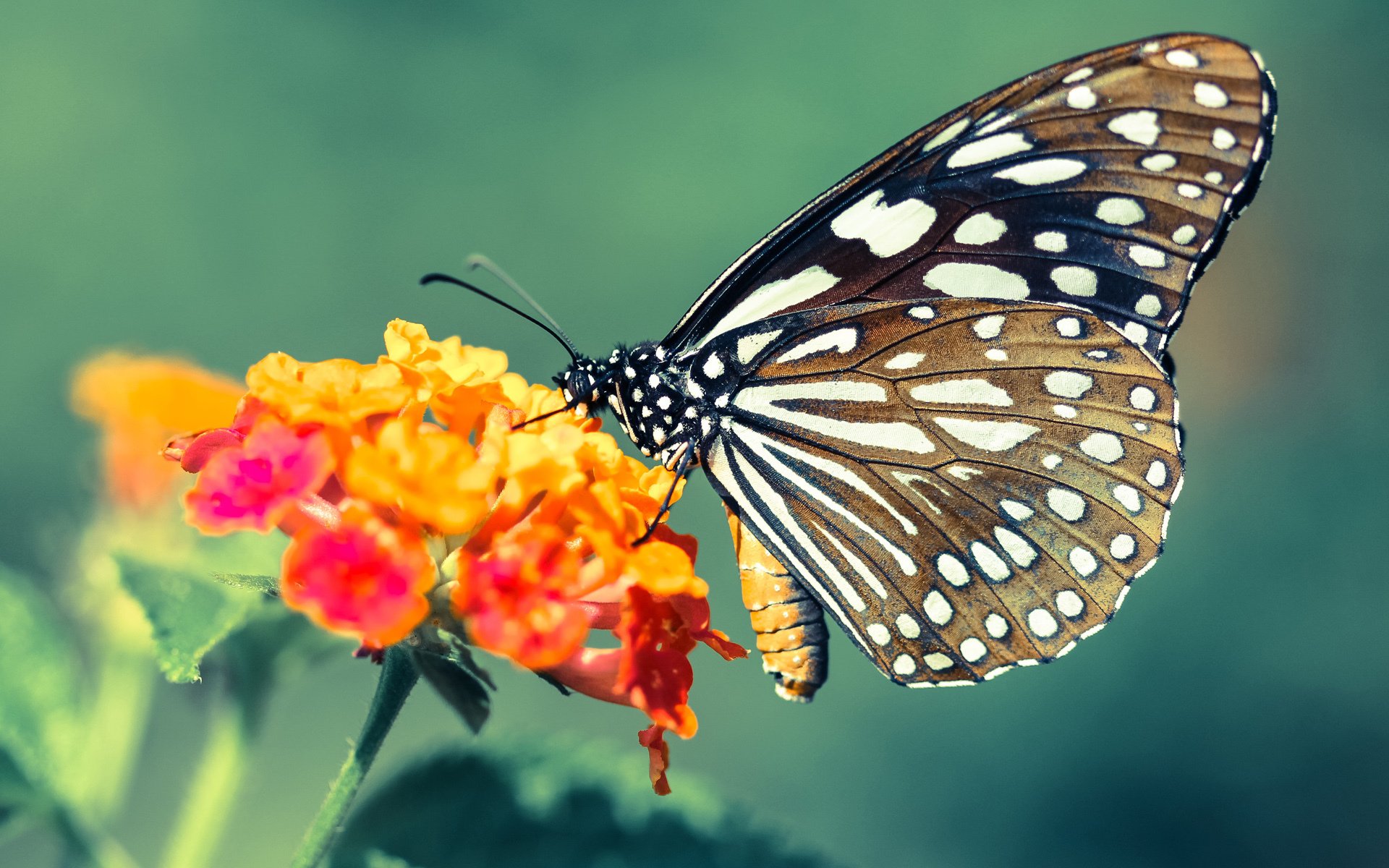 青少年体育普及与推广，青少年体育培训推广方案