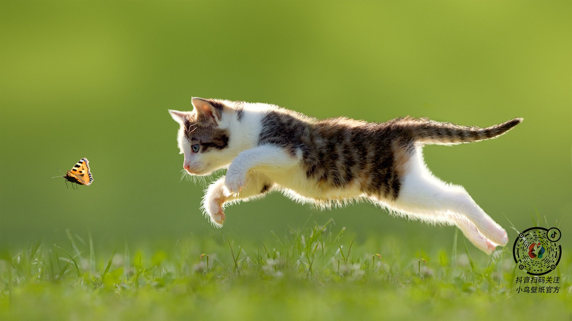 划频波动最小选手表现稳定，频率与划距的关系