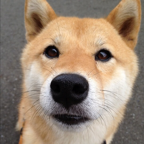 战术风格逐步过渡至“快、小、灵”