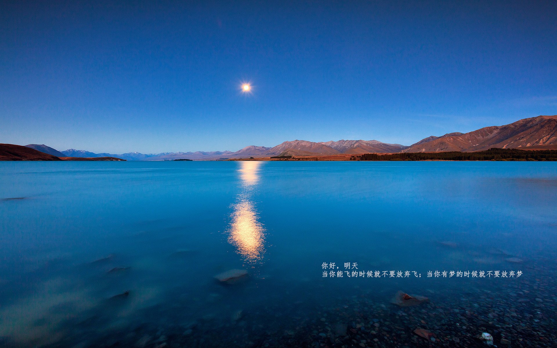 男子接力决赛激战中国队，中国男子接力进决赛