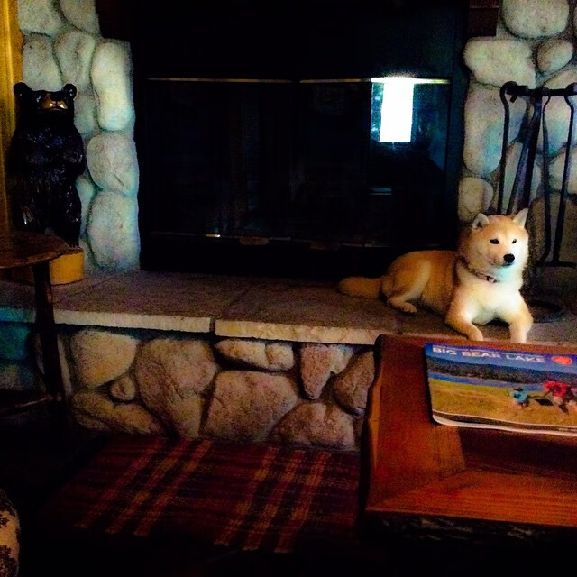 冠军教头独家专访，揭秘执教心得，冠军教头是什么意思