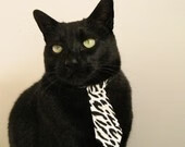 媒体记者深入更衣室采访呈现赛后第一时间真实情绪，更衣室失踪事件应该是真的