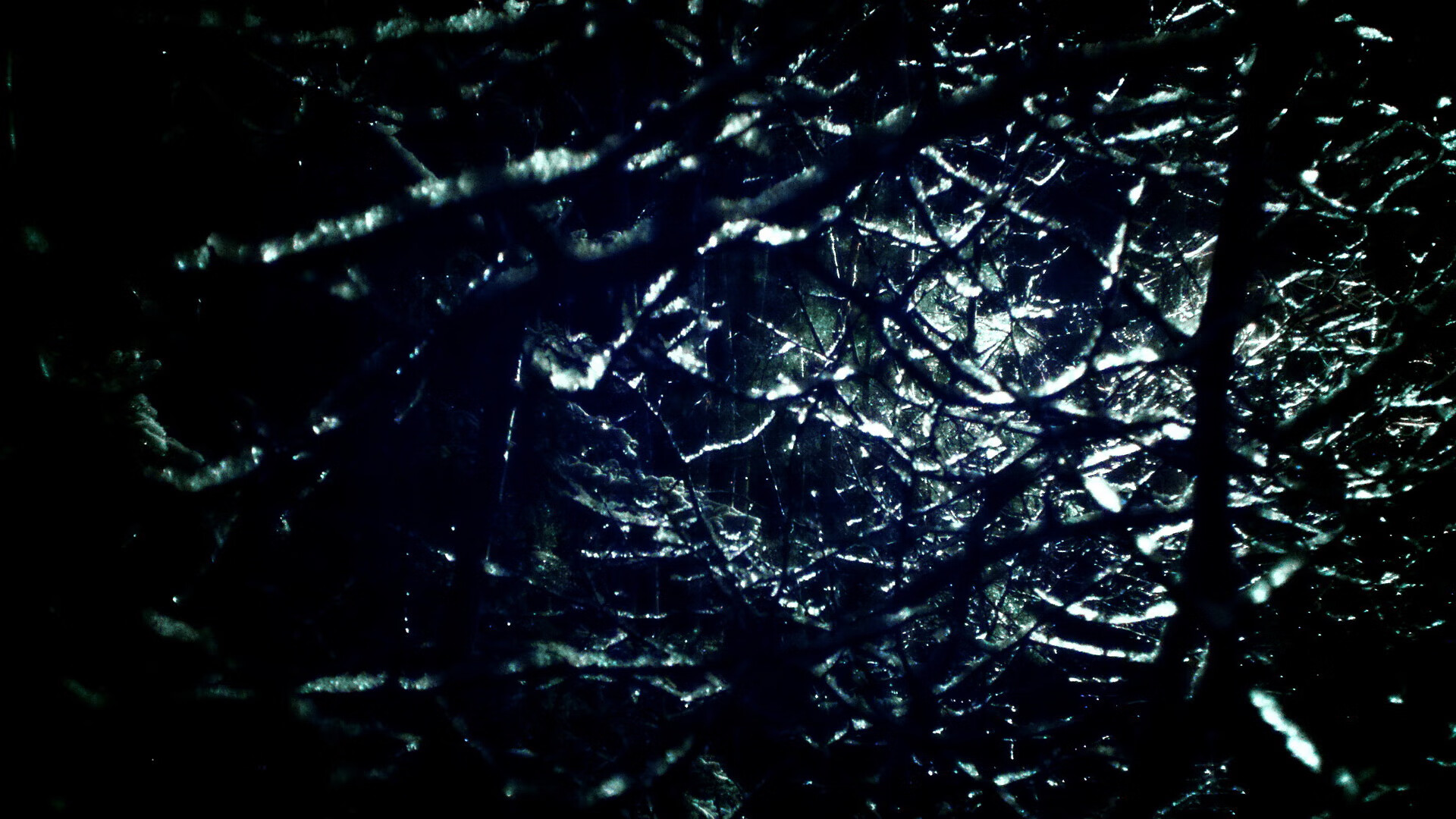 德克斯决赛精彩瞬间引爆现场，德克斯决赛精彩瞬间引爆现场图片